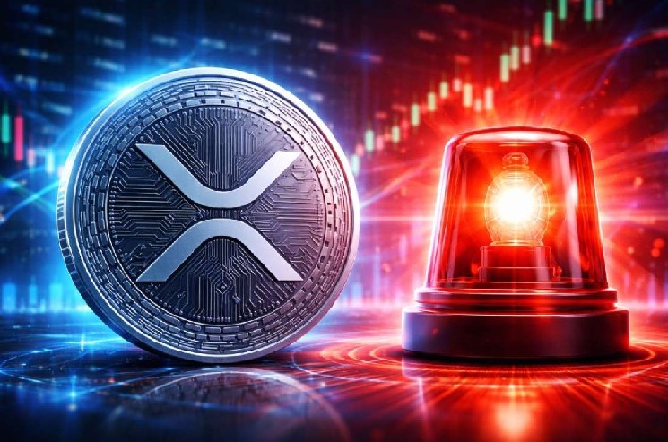 
			Внимание инвесторам XRP! Бывший технический директор Ripple Дэвид Шварц предупреждает: &laquo;Опасность серьезная и существенная!&raquo;		